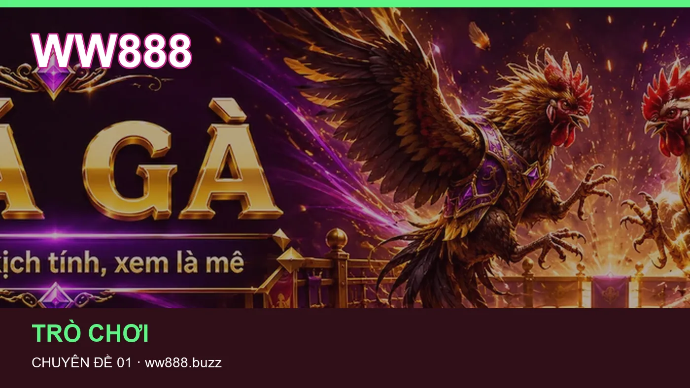 Hình minh họa bài viết WW888