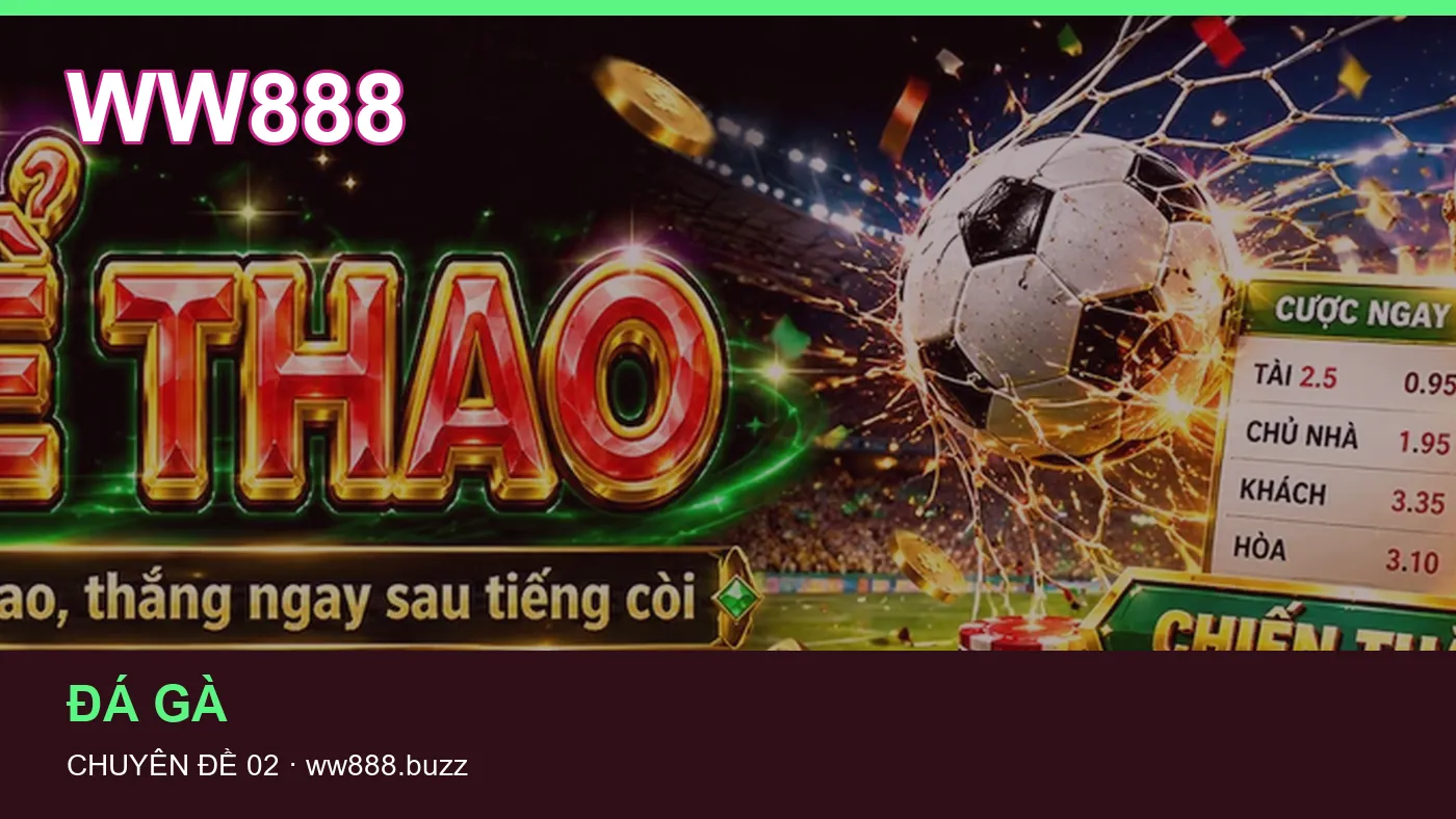 Hình minh họa bài viết WW888