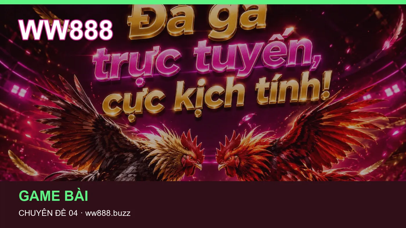 Hình minh họa bài viết WW888