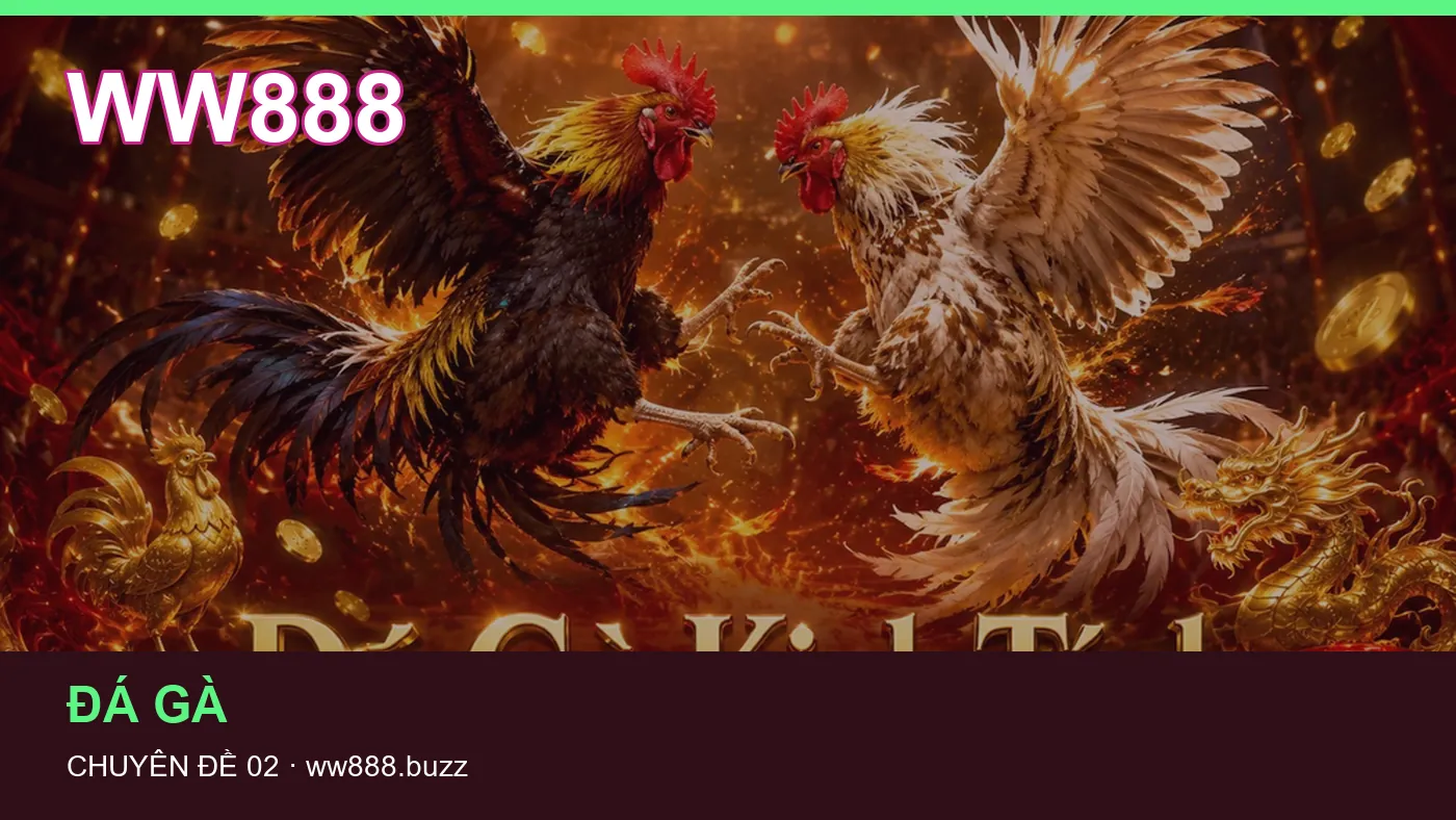 Hình minh họa bài viết WW888