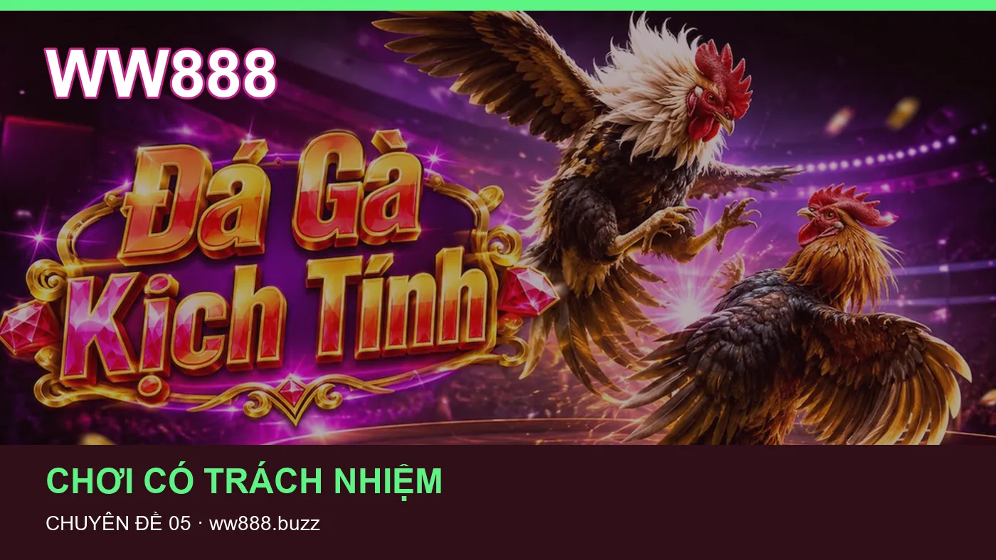 Hình minh họa bài viết WW888