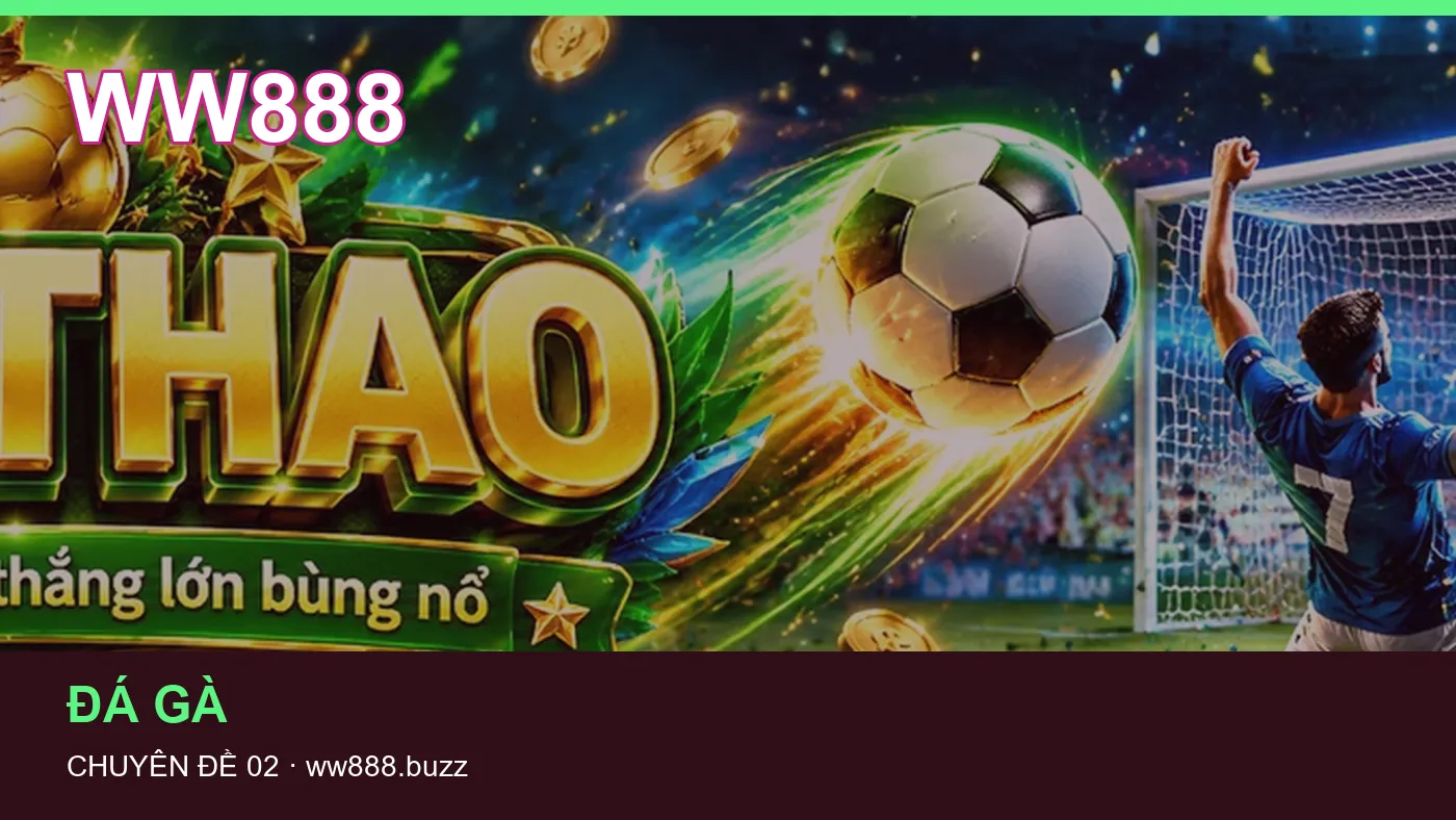 Hình minh họa bài viết WW888